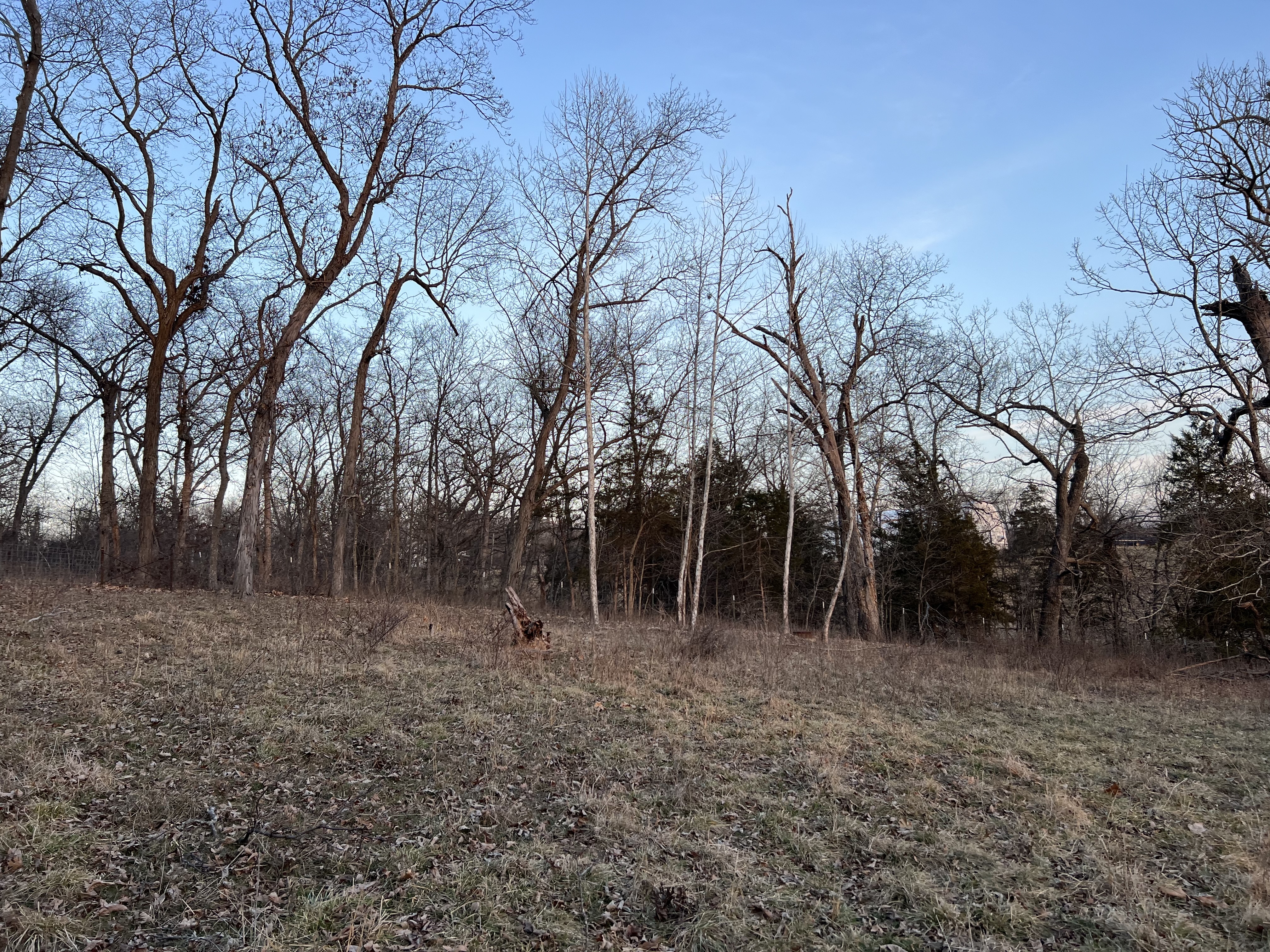 field 2